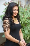 Nikesha Patel New Photos - 101 of 120