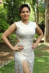 Nikesha Patel Photos - 15 of 30