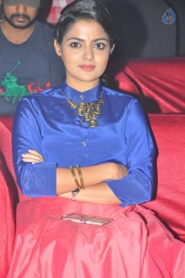 Nikhila Vimal New Photos - 6 of 15