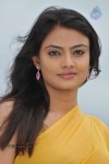 Nikitha Narayan New Stills - 10 of 108