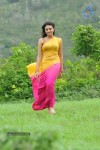 Nikitha Narayan New Stills - 86 of 108