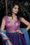 Nikitha Narayana New Photos - 7 of 100