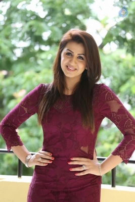 Nikki Galrani Latest Gallery - 16 of 31