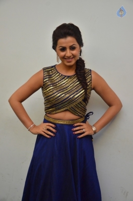 Nikki Galrani New Gallery - 6 of 30