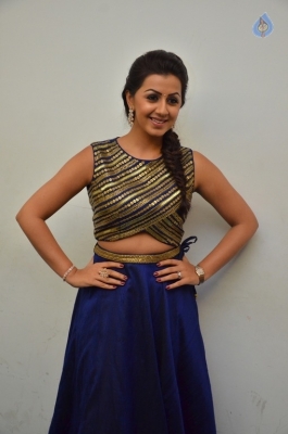 Nikki Galrani New Gallery - 7 of 30