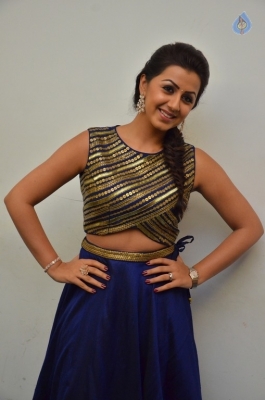 Nikki Galrani New Gallery - 13 of 30