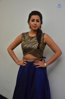 Nikki Galrani New Gallery - 23 of 30