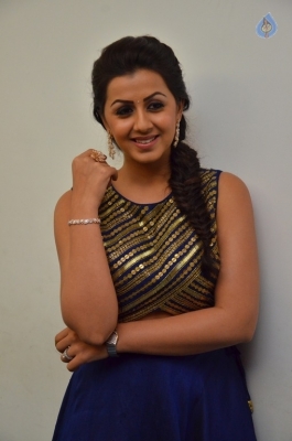 Nikki Galrani New Gallery - 24 of 30