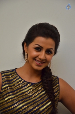 Nikki Galrani New Gallery - 27 of 30