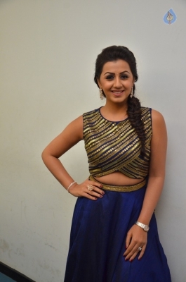 Nikki Galrani New Gallery - 28 of 30