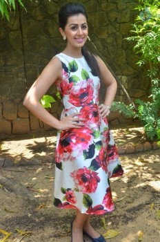 Nikki Galrani New Photos - 21 of 27