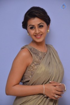 Nikki Galrani Photos - 14 of 40