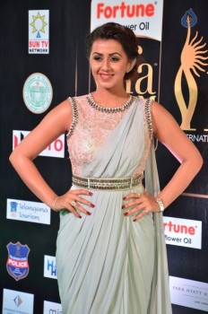 Nikki Galrani Pics - 5 of 30