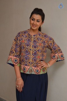 Nikki Galrani Pics - 1 of 29