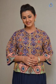 Nikki Galrani Pics - 13 of 29