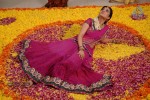 Nisha Agarwal New Photos - 136 of 151