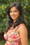 Nisha Latest Photos - 77 of 66