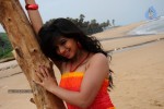 Nisha Shah Spicy Photos  - 12 of 83