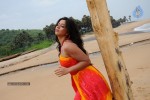 Nisha Shah Spicy Photos  - 16 of 83