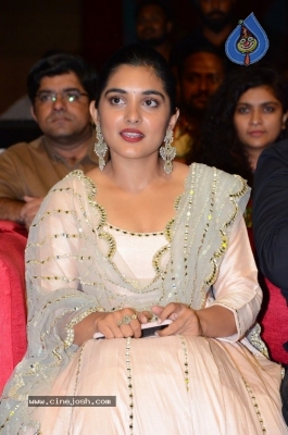 Nivetha Thomas Photos - 17 of 21