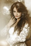 Parul Yadav Hot Photos - 14 of 26