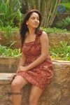 Pavani New Stills - 57 of 70