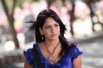 Pavani Reddy New Photos - 16 of 33