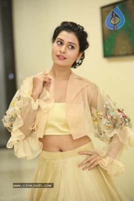 Payal Rajput Photos - 14 of 42