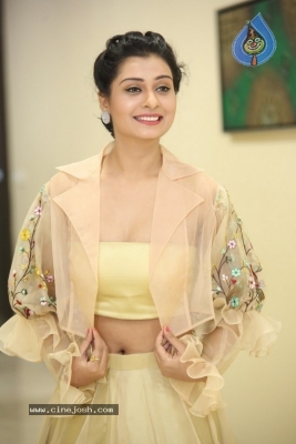 Payal Rajput Photos - 17 of 42