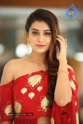 Payal Rajput Photos - 18 of 20