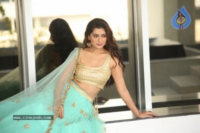 Payal Rajput Photos - 15 of 64