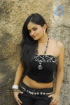 Payal Setti Photo Stills - 1 of 20