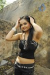 Payal Setti Photo Stills - 16 of 20