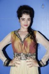 Piaa Bajpai New Stills - 63 of 63