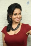 Pooja Kumar New Gallery - 55 of 81