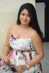 Poonam Bajwa Hot Gallery - 48 of 150