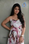 Poonam Bajwa Hot Gallery - 61 of 150