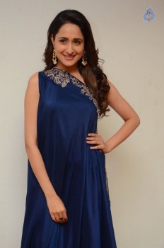 Pragya Jaiswal New Photos - 33 of 41