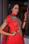 Pragya New Stills - 46 of 45