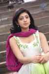 Pranitha Latest Gallery - 17 of 31