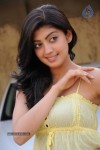 Pranitha Latest Gallery - 18 of 31