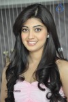 Pranitha Latest Stills - 49 of 51