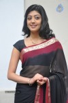 Pranitha New Gallery - 3 of 104