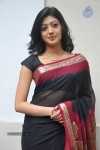 Pranitha New Gallery - 9 of 104