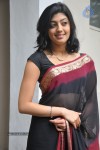 Pranitha New Gallery - 19 of 104