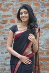 Pranitha New Gallery - 46 of 104