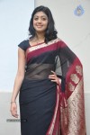 Pranitha New Gallery - 50 of 104