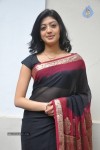 Pranitha New Gallery - 59 of 104