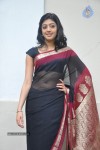 Pranitha New Gallery - 64 of 104