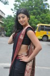 Pranitha New Gallery - 65 of 104